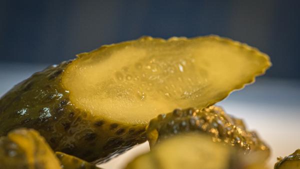 Forrás: pixabay.com