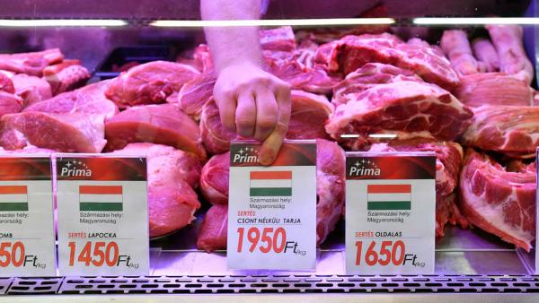 Illusztráció: MTI/Máthé Zoltán