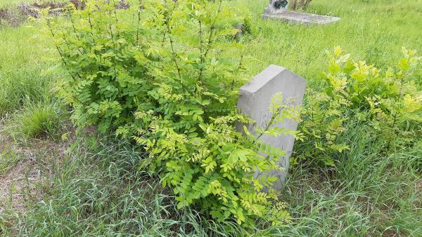 Reök István sírja