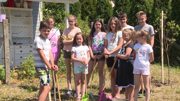 Kép: Máthé Csongor/BMC