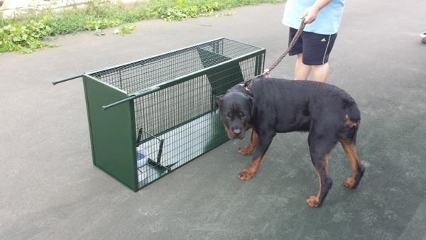 (Fotó: Lőkösháza Község)