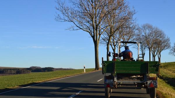 forrás: pixabay.com