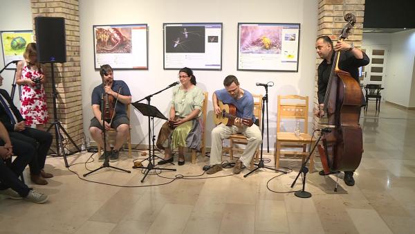 A mikrovilág csodái  Fotó: Máthé Csongor