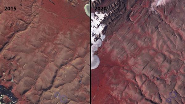 Bruce_Raup,_National_Snow_and_Ice_Data_Center