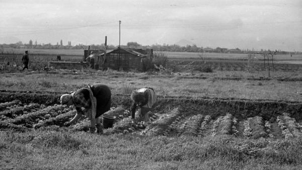 Illusztráció: fortepan