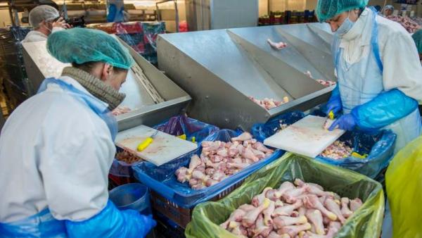 Fotó: Rosta Tibor / MTI