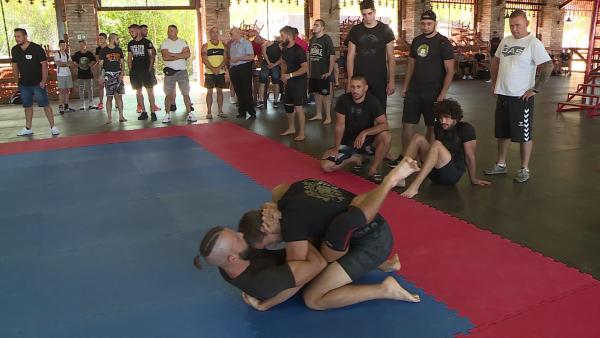 Sparring Day - Fotó: Bagi József