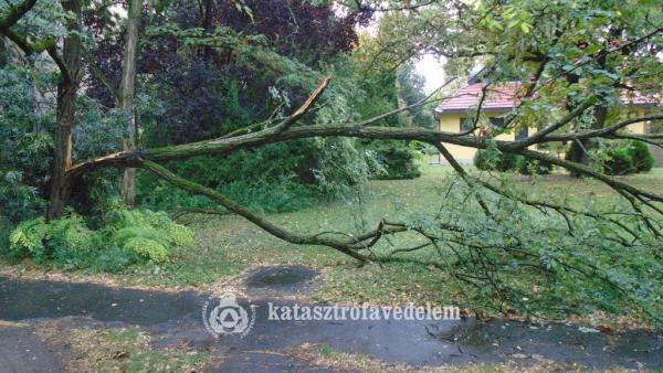 fotó: Békéscsaba HTP