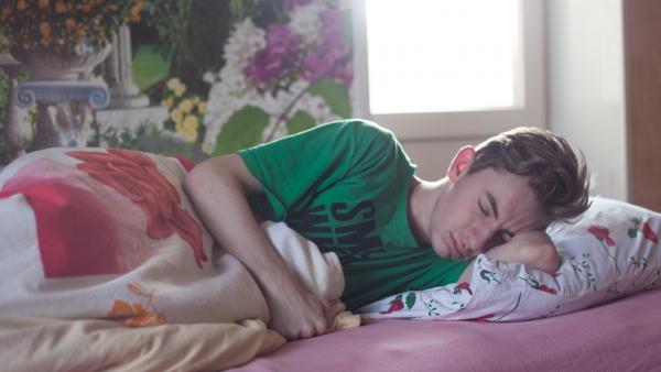 A kép forrása: pexels.com