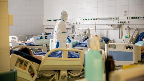 Kép: Kovács Attila/Semmelweis Egyetem