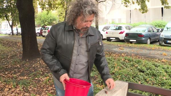 Ulbert Zoltán (fotó: behir.hu)