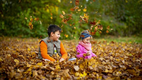 Illusztráció: pixabay.com