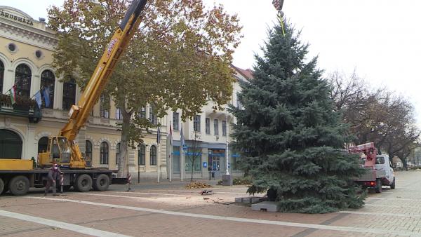 Kép: Bagi József/BMC