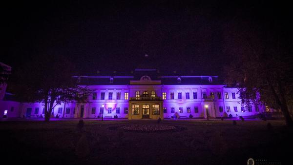 A kivilágított Almásy-kastély (Kép: Erkel Ferenc Kulturális Központ és Múzeum Nonprofit Kft.)