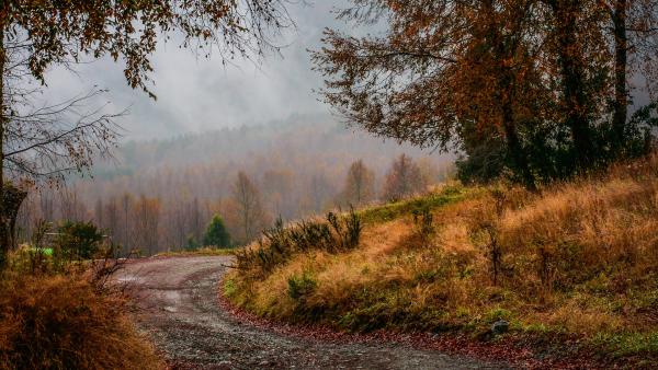 Illusztráció: pixabay.com