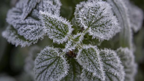 MTI fotó: Varga György