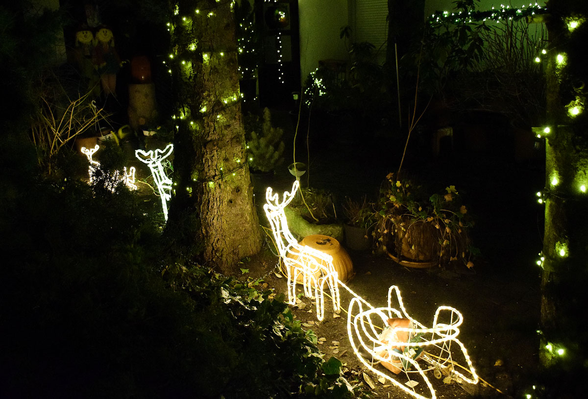Karácsonyi díszkivilágítás egy csabai kertben – Fotó: behir.hu/Such Tamás