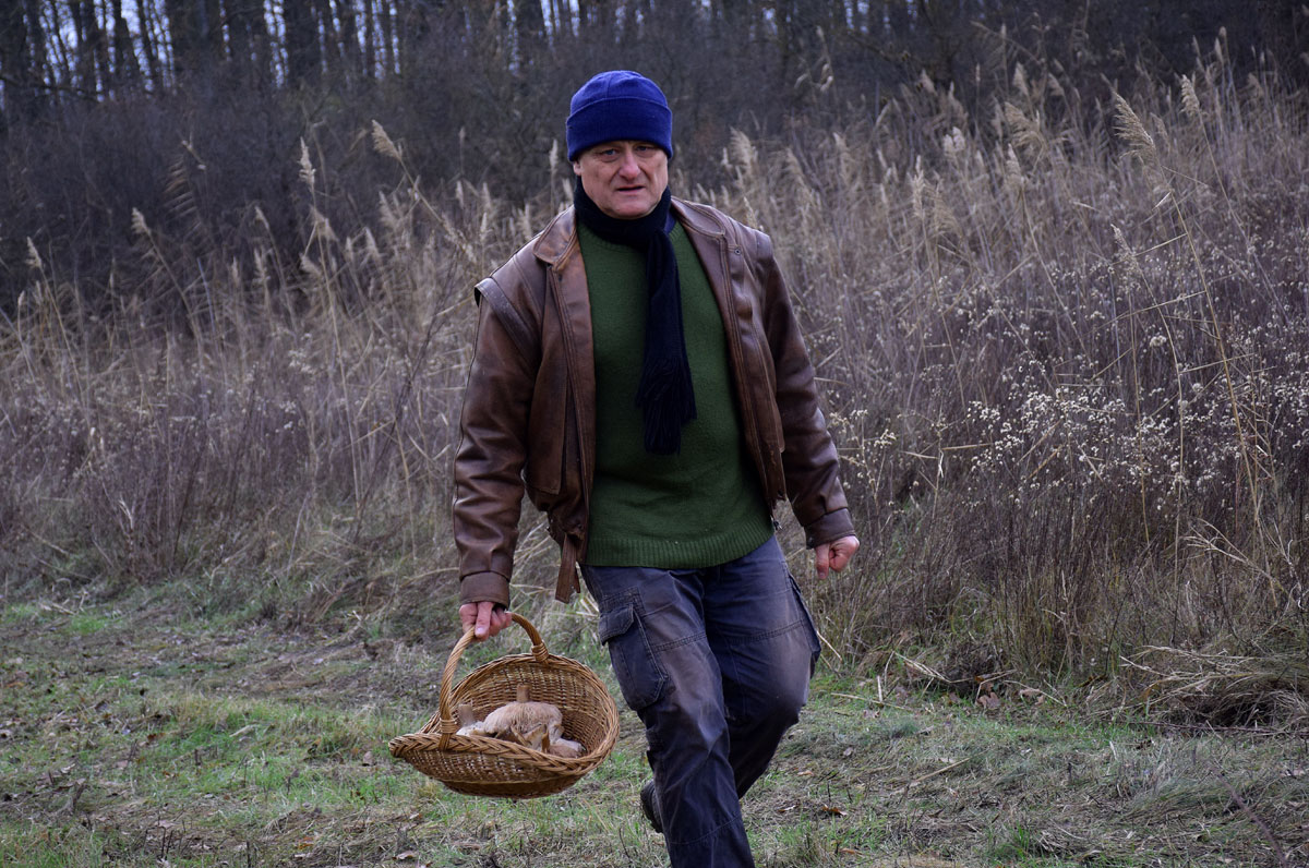 Bartus Gyula gombászkodik – Fotó: behir.hu/Such Tamás Bartus Gyula gombászkodik – Fotó: behir.hu/Such Tamás