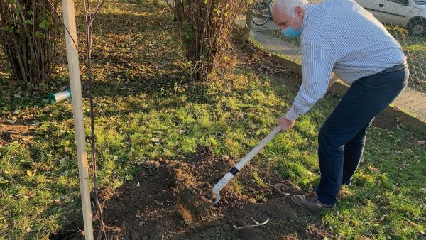 Herczeg Tamás is részt vett a Gerlai Általános Iskola udvarán zajló faültetésben. Fotó forrása: Herczeg Tamás kabinetje