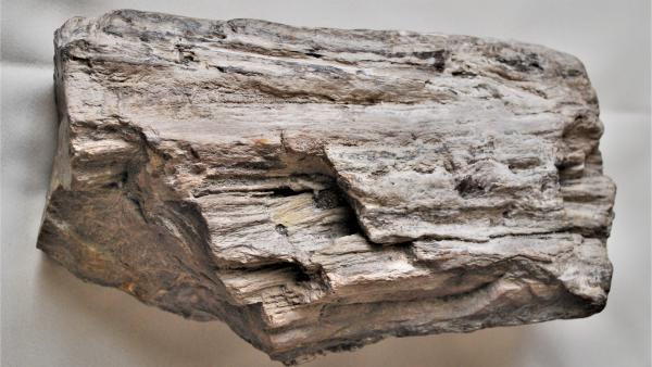 Faopál (fotó: Munkácsy Mihály Múzeum)