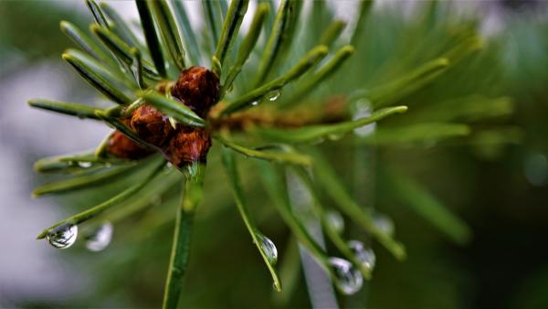 Illusztráció: pixabay.com