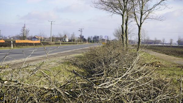 Illusztráció (Fotó: behir.hu)