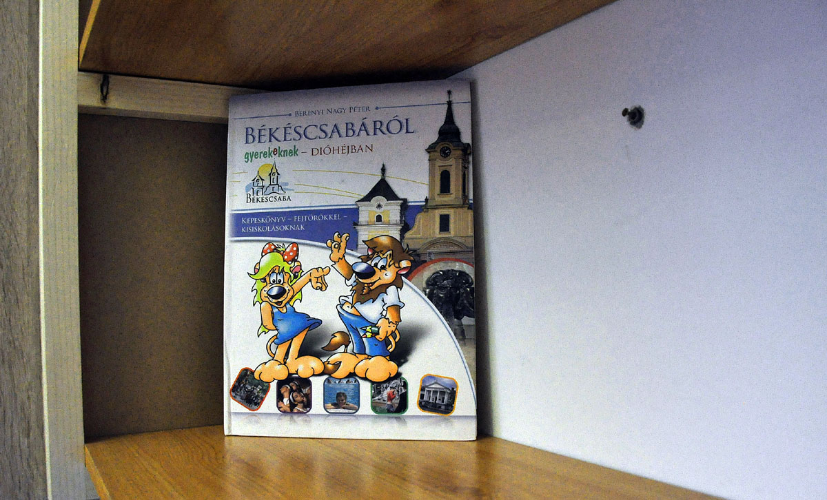 Gyermekpolc egy lakásban, Berényi Nagy Péter Békéscsabáról című könyvével – Fotó: behir.hu/Such Tamás