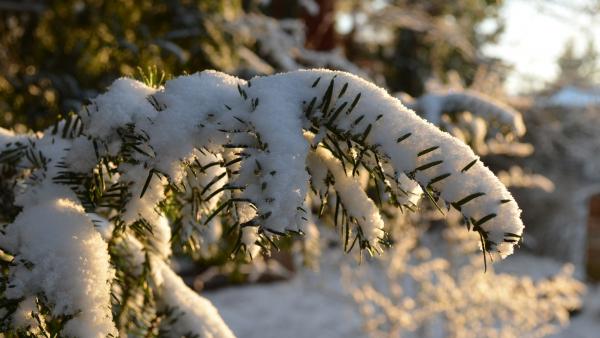 Illusztráció: pixabay.com