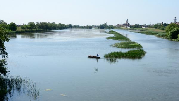 Kép forrása: Körösvidéko Horgász Egyesületek Szövetsége