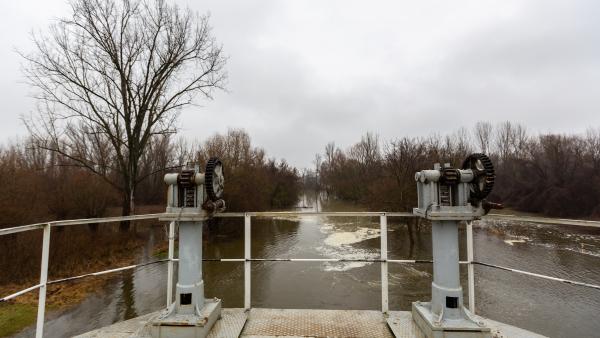 Illusztráció: Kövizig