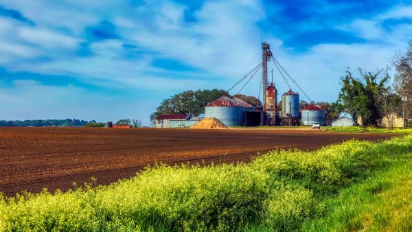 A kép illusztráció. (Forrás: pixabay.com)