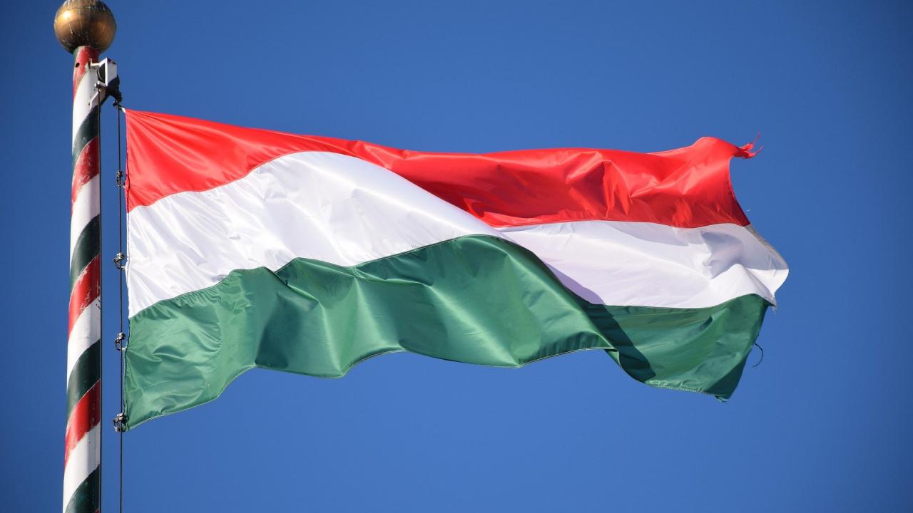magyar zászló rajz
