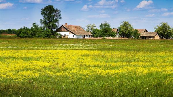 A kép illusztráció. (Forrás: pixabay.com)