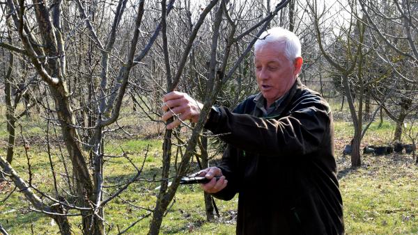 Erdei Lajos – Fotó: behir.hu/Such Tamás