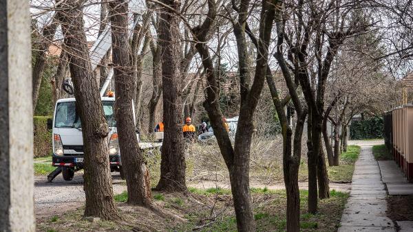 A kép forrása: Facebook/Polgár Zoltán