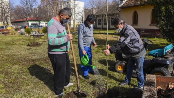A kép forrása: Dr. László Elek Kórház és Rendelőintézet