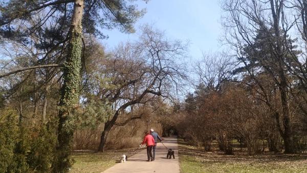 Fotó: Szarvasi Arborétum Facebook oldala