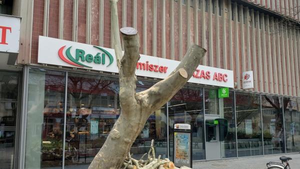 Fotó: facebook/ Sajben Zoltán