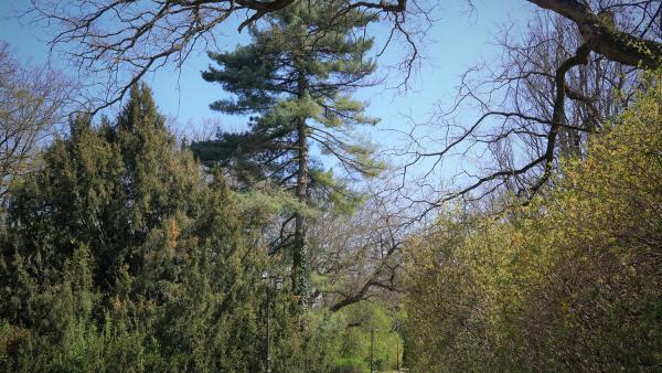 fotó: Vári Bianka (behir.hu)