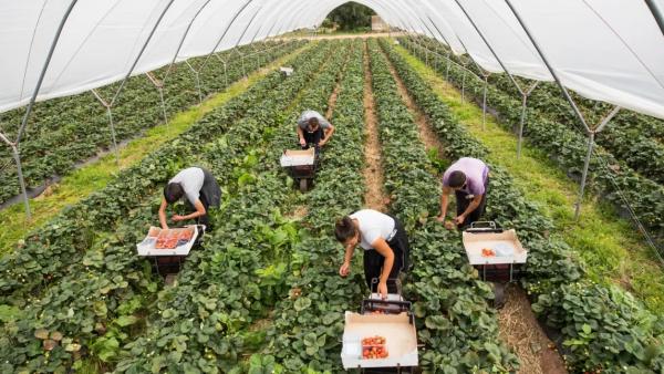 A kép illusztráció. (Forrás: Getty Images)