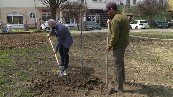 Fotó: Bagi József / behir.hu