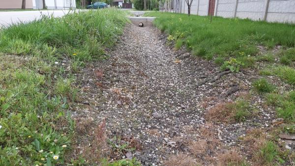 Illusztráció: Papp Ádám / behir.hu