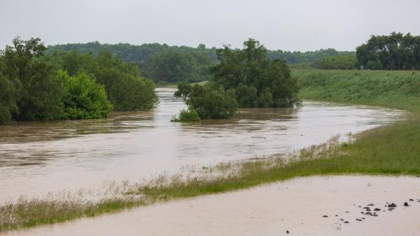 Árhullám a Fekete-Körösön. Fotó: KÖVIZIG