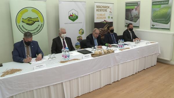 Fotó: Kugyelka Attila / behir.hu 