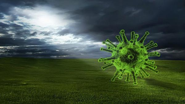 Illusztráció: pixabay.com