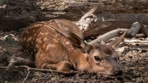 Fotó: kmnp.hu/ Bencsik Antal Zsolt