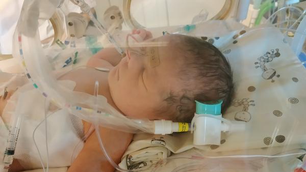 Fotó: Telegdi-Szűcs Viktória