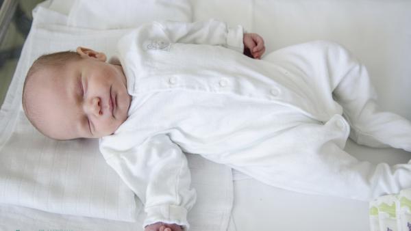 Kohut Klausz Pál a kétszázadik babaként jött világra az orosházi kórházban. Forrás: Melega Krisztián/Dr. László Elek Kórház és Rendelőintézet