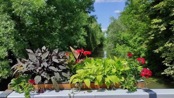 Fotók: Szarvas Péter facebook oldala