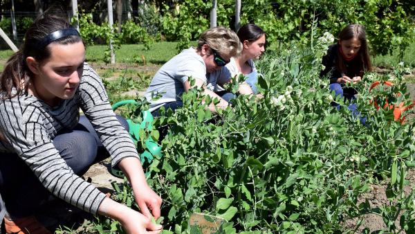 A Lencsési Általános Iskola Kertbarát szakköre – Fotó: Farkas Éva tanárnő